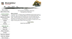 Desktop Screenshot of bonsaiexperience.com