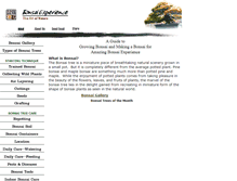 Tablet Screenshot of bonsaiexperience.com
